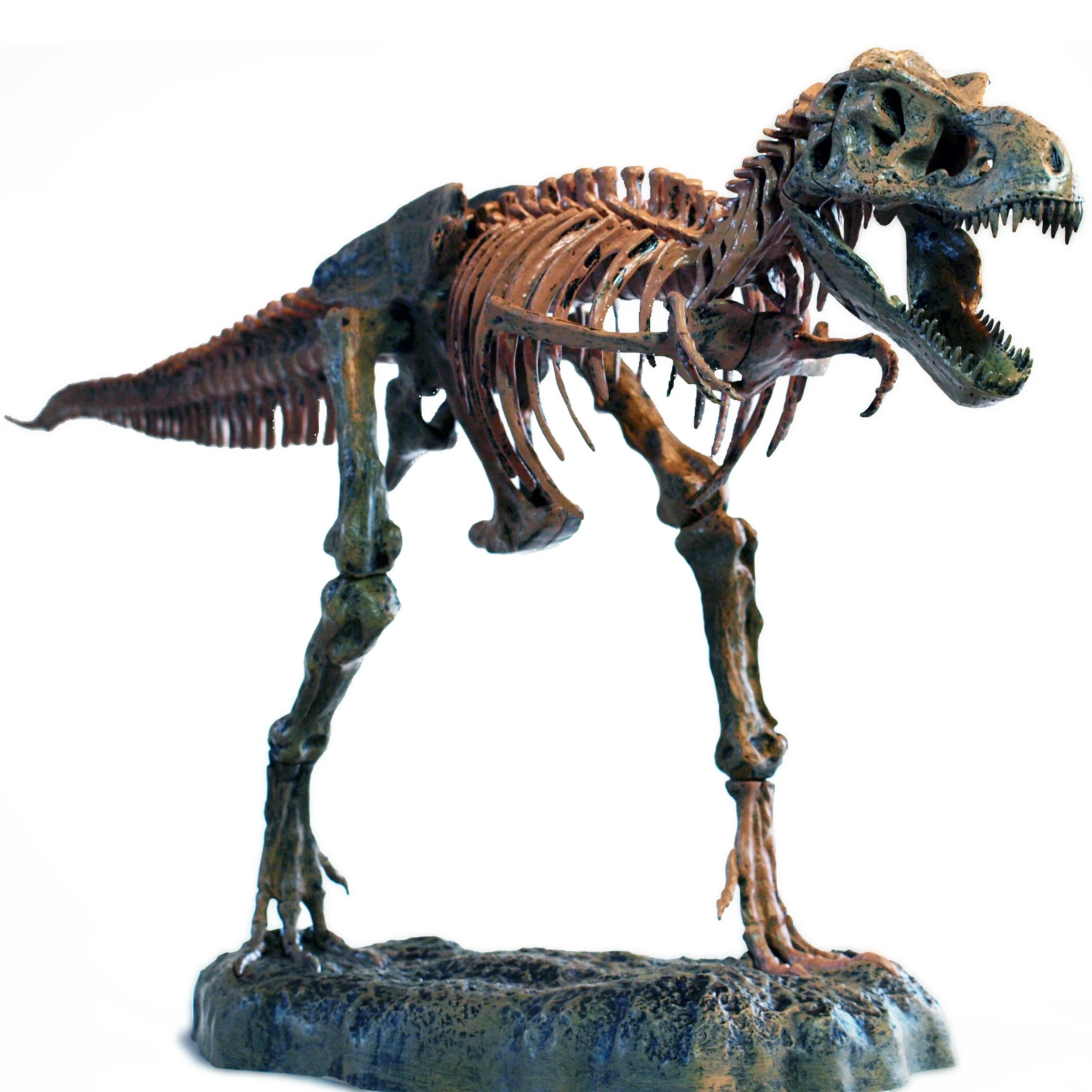 3D DIY Tyrannosaurus Rex Skeleton Fossil Large Model Kit - Image 5