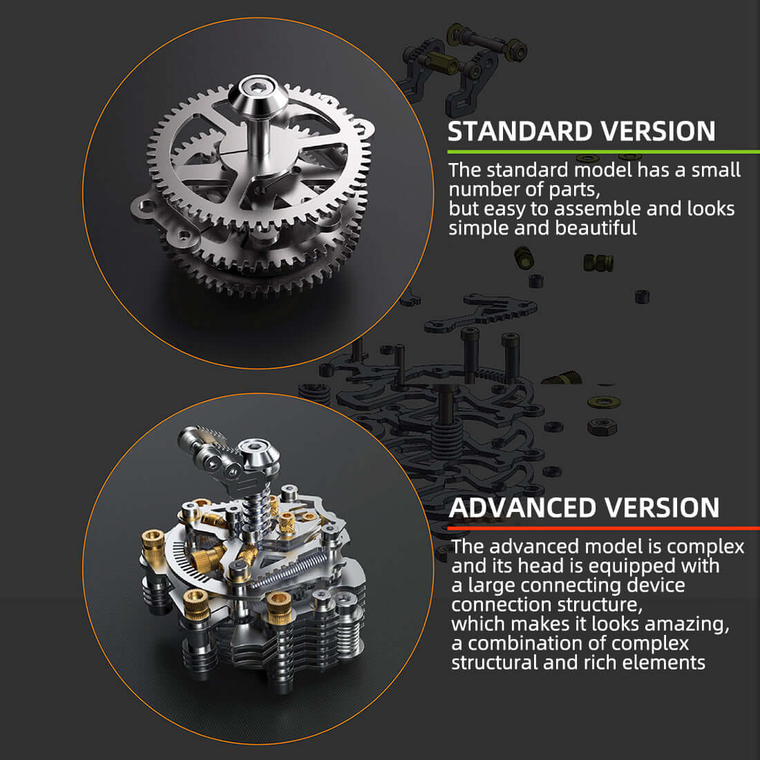 Large beetle Dynastes DIY metal puzzle model kit insect series - Image 8